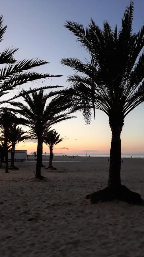 Apartamento Sabor Del Mar Solo Familias Playa de Gandia Exteriör bild